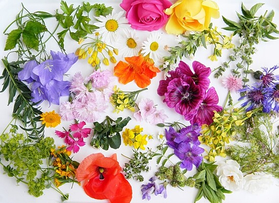 Wood-Fire Roasted Edible Flowers As X 